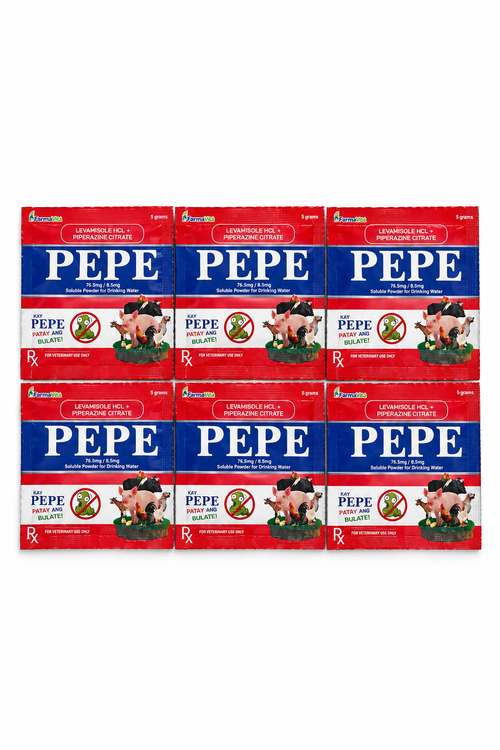 Six PEPE sachets on white
