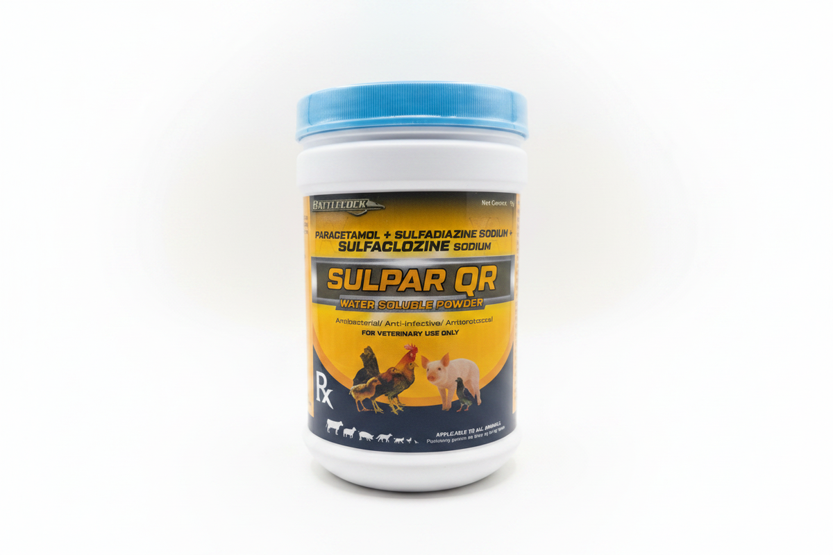Sulpar QR White Background