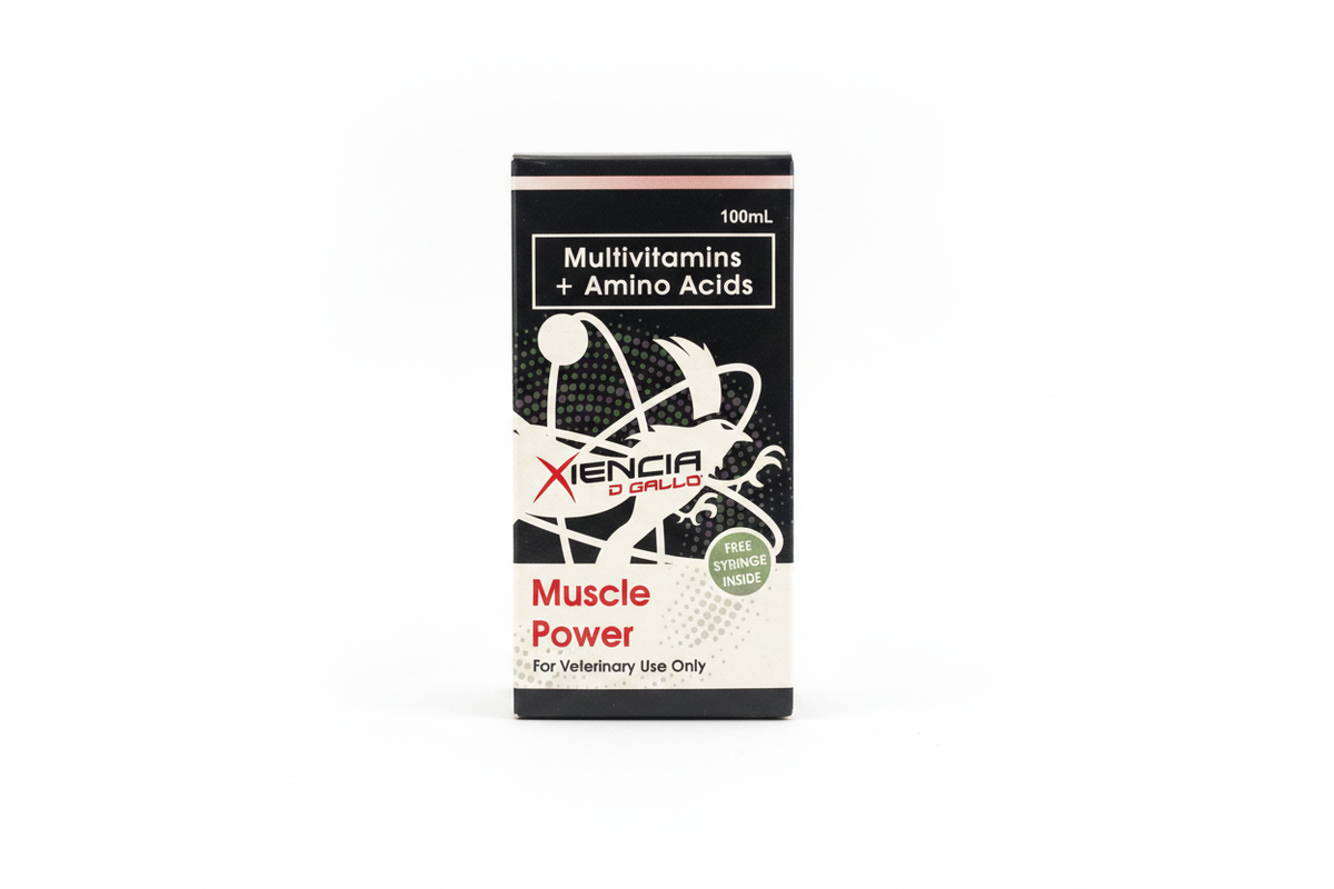 Xiencia D Gallo Muscle Power – White Background